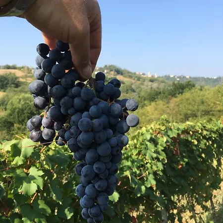 Castello Di Grillano * Овада