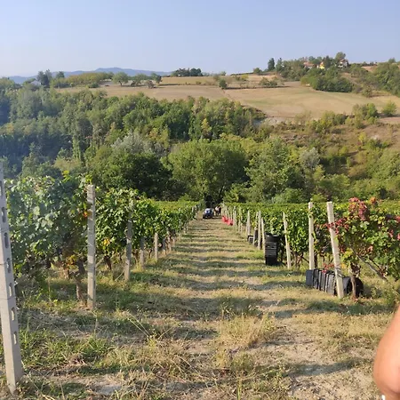 Фермерский дом Castello Di Grillano